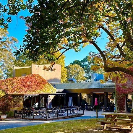 ביצ'וורת' The Grand Oaks Resort מראה חיצוני תמונה