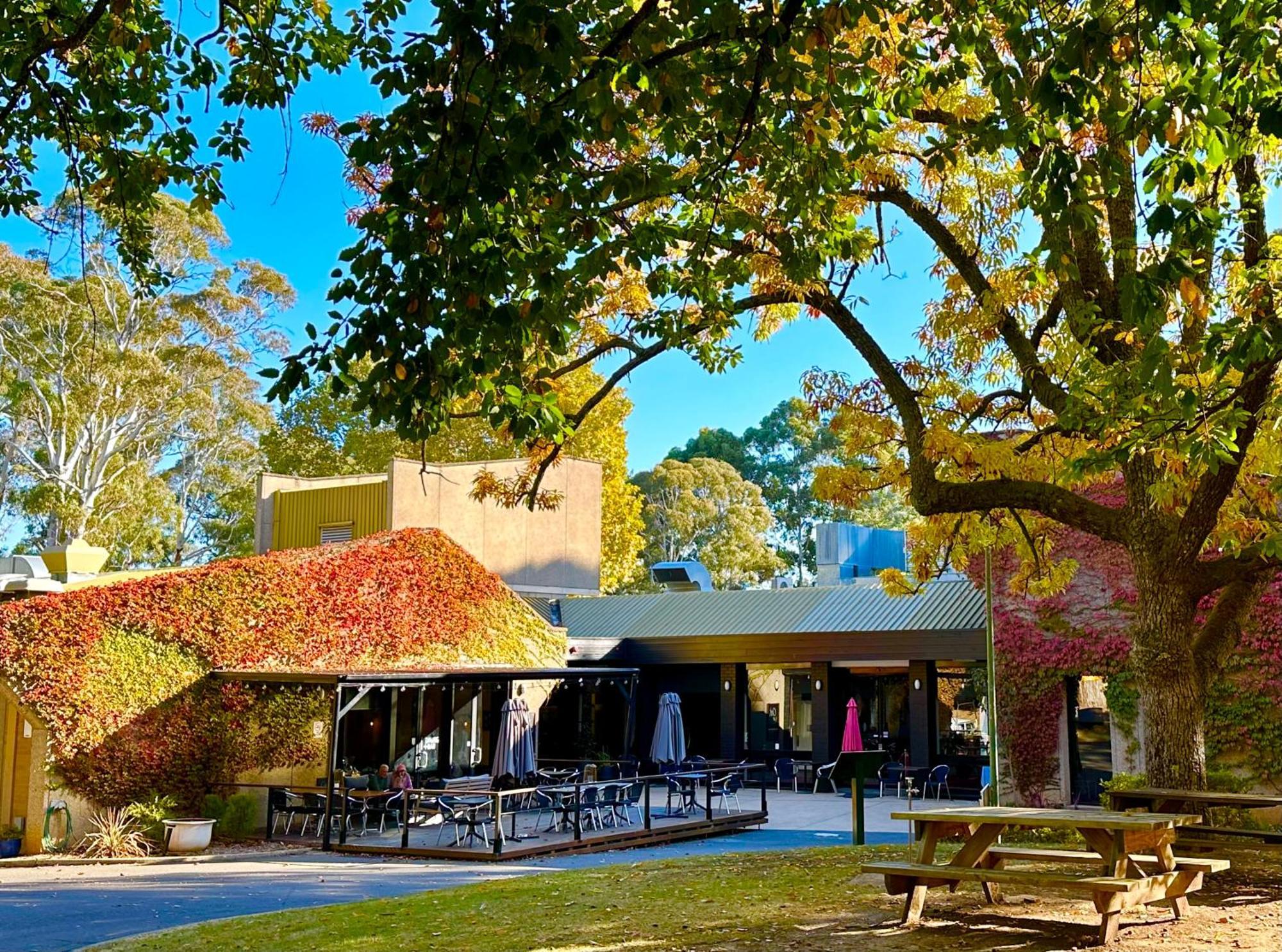 ביצ'וורת' The Grand Oaks Resort מראה חיצוני תמונה