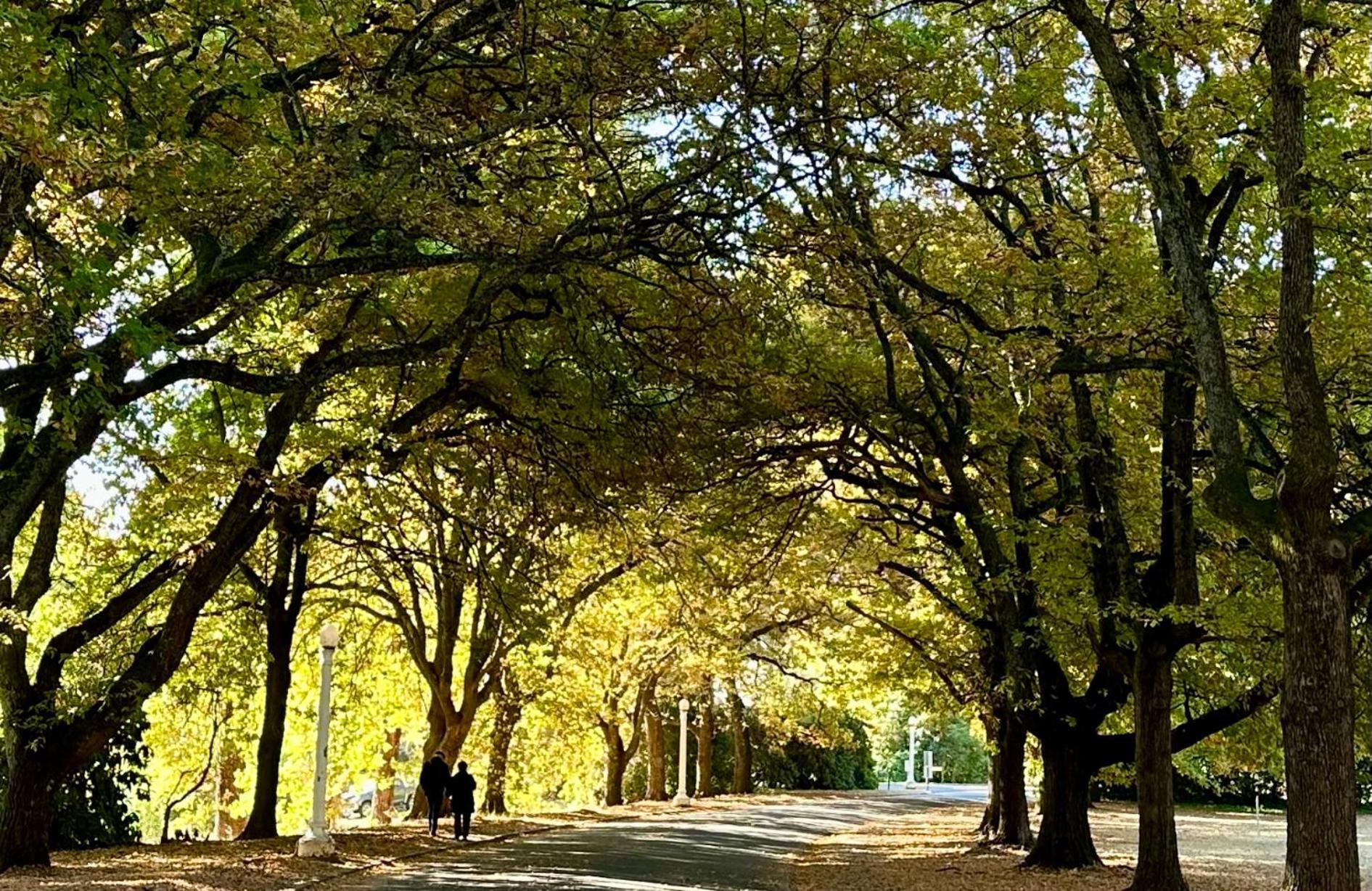 ביצ'וורת' The Grand Oaks Resort מראה חיצוני תמונה