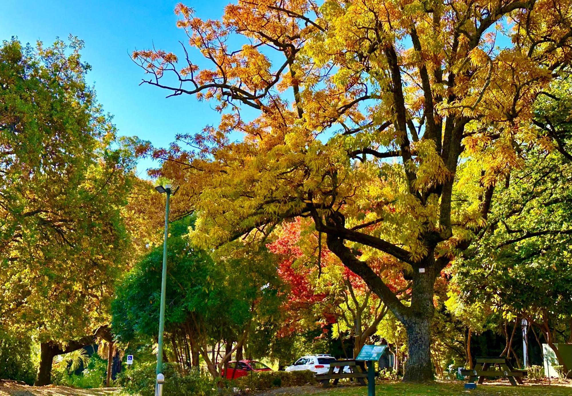 ביצ'וורת' The Grand Oaks Resort מראה חיצוני תמונה
